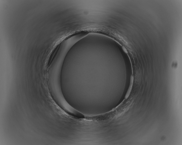 X0000094900673200711291233
