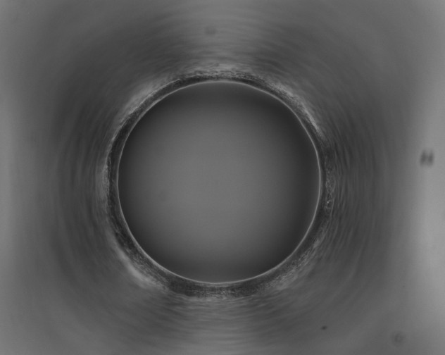 X0000094900674200711291233