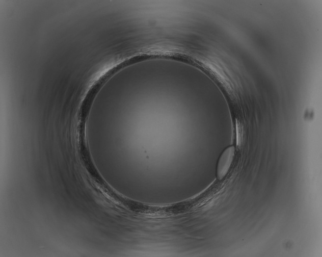 X0000094900675200711291233