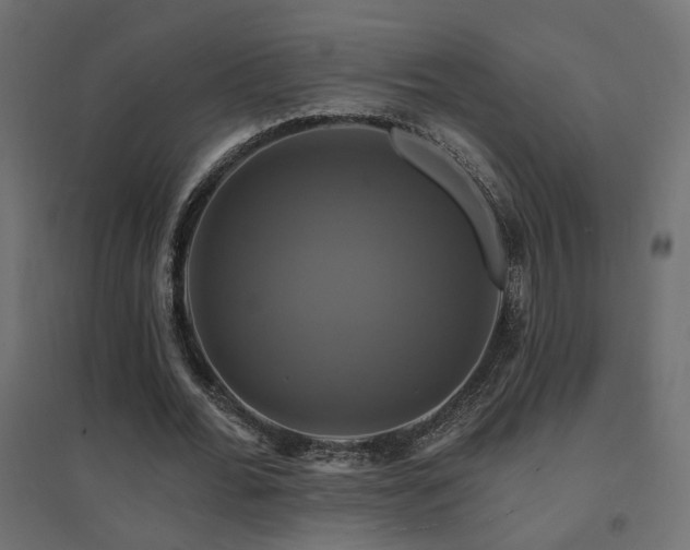 X0000094900676200711291233