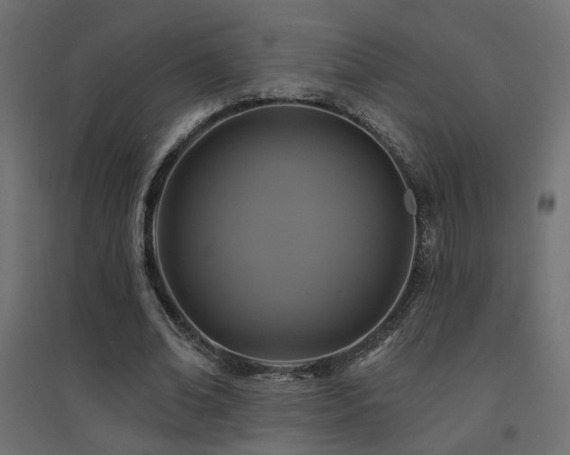 X0000094900678200711291233