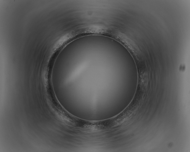 X0000094900679200711291233