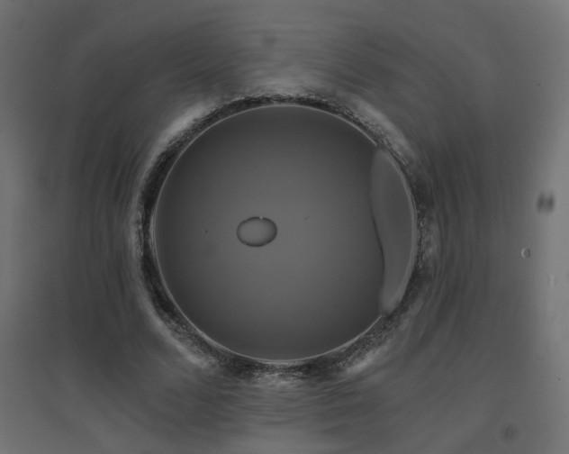 X0000094900680200711291233