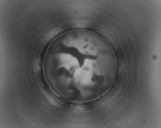 X0000094900683200711291233
