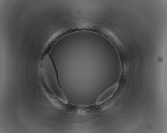 X0000094900684200711291233