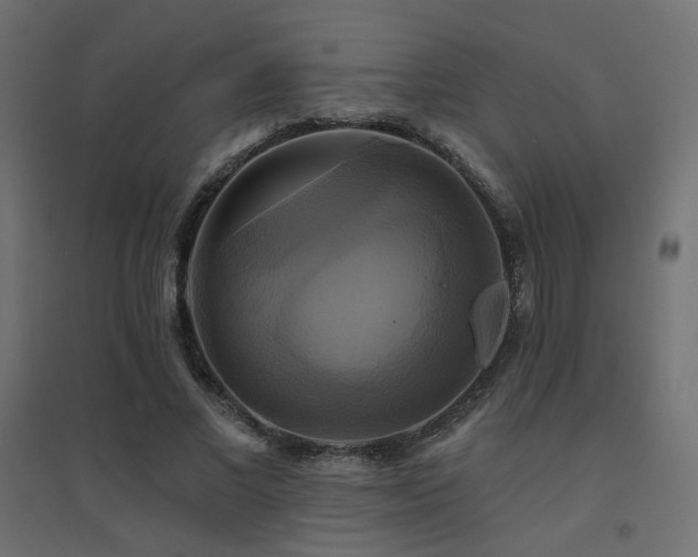 X0000094900685200711291233