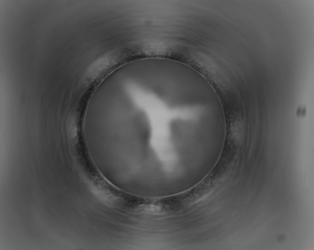 X0000094900687200711291233