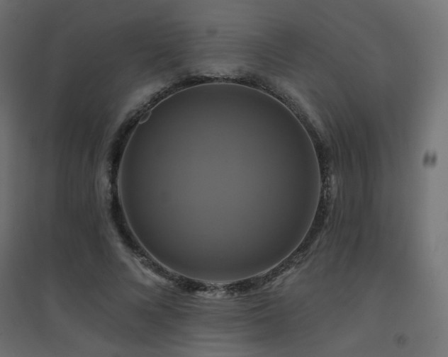 X0000094900688200711291233