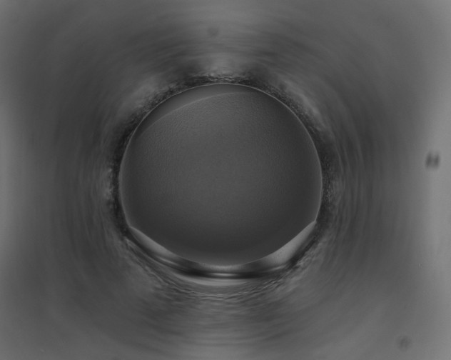 X0000094900689200711291233