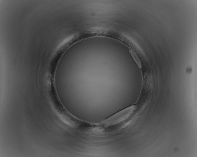 X0000094900692200711291233