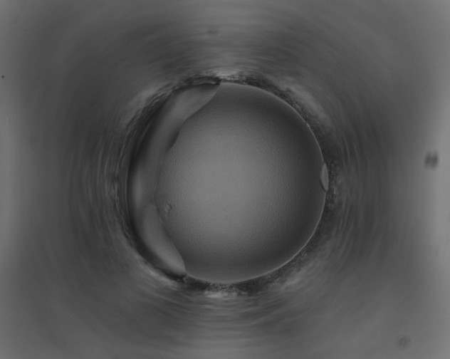 X0000094900693200711291233