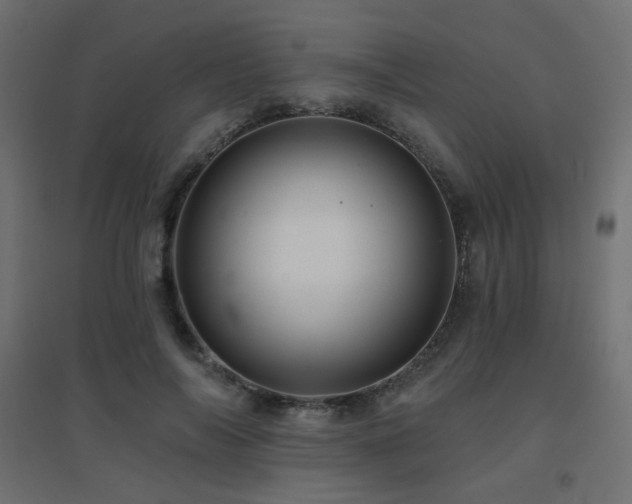X0000094900694200711291233