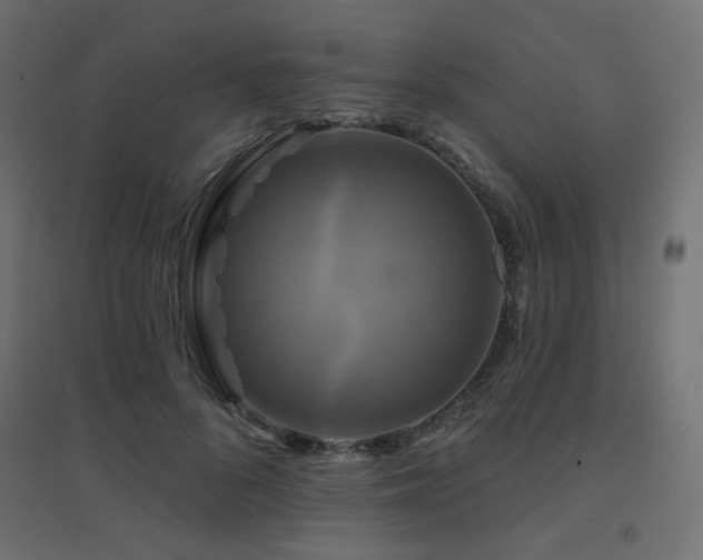X0000094900696200711291233