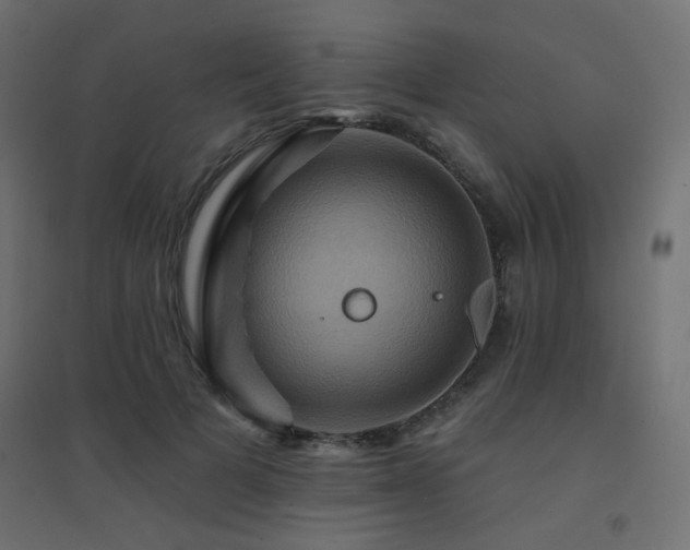 X0000094900697200711291233