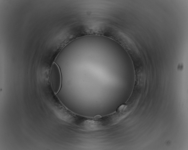 X0000094900699200711291233