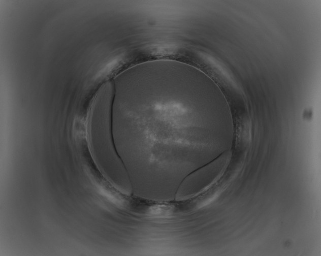 X0000094900700200711291233