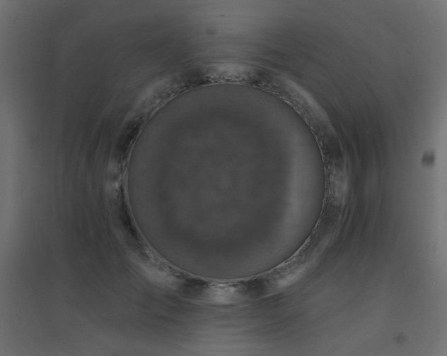 X0000094900701200711291233