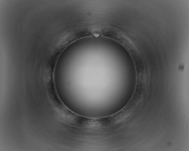 X0000094900702200711291232