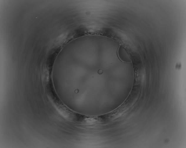 X0000094900703200711291232