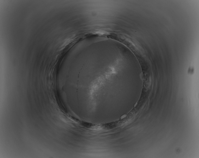 X0000094900704200711291232
