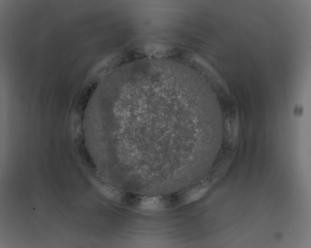 X0000094900705200711291232