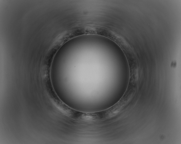 X0000094900706200711291232