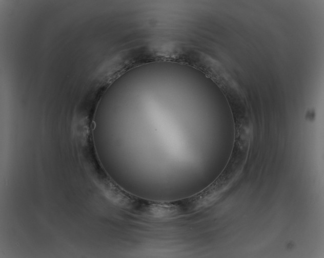 X0000094900707200711291232