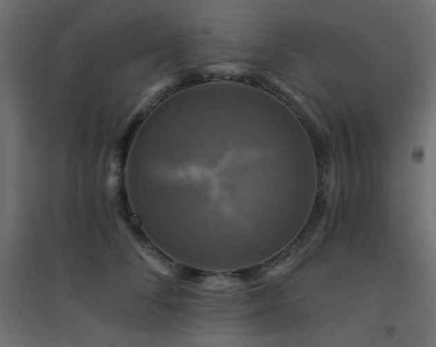 X0000094900708200711291232