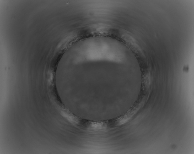 X0000094900709200711291232