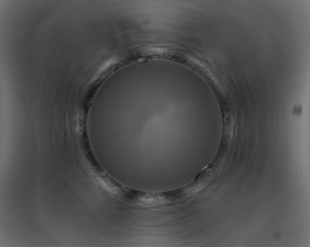 X0000094900712200711291232