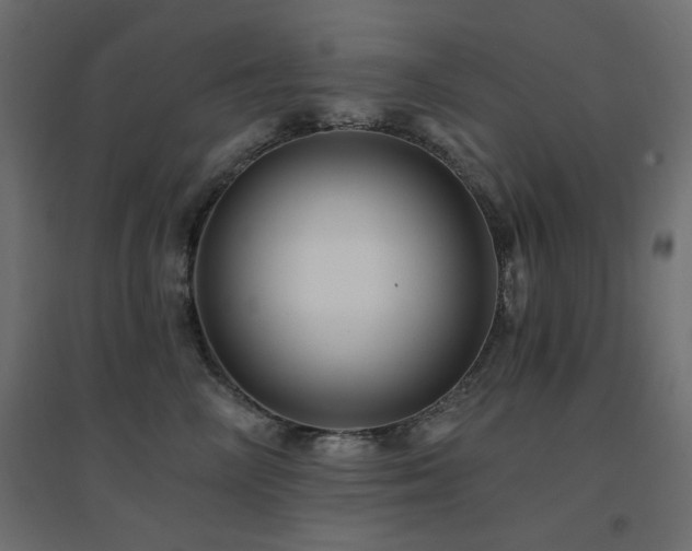 X0000094900714200711291232