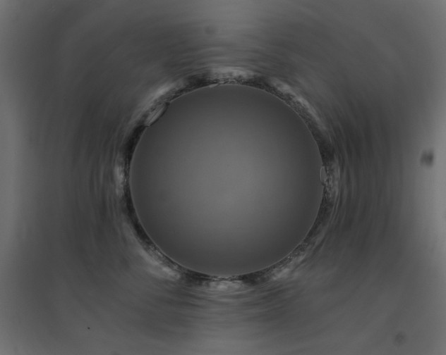 X0000094900716200711291232