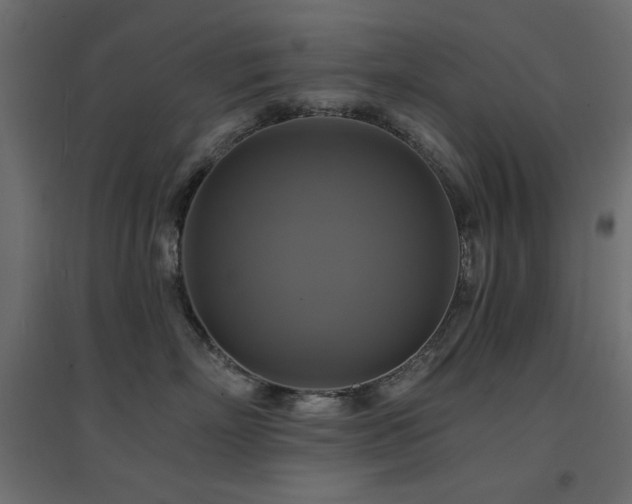 X0000094900718200711291232