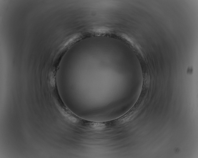 X0000094900719200711291232