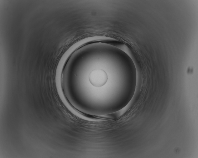 X0000094900720200711291232