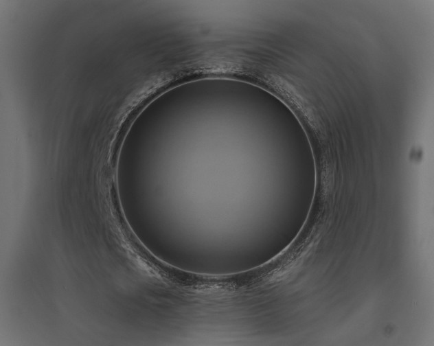X0000094900721200711291231
