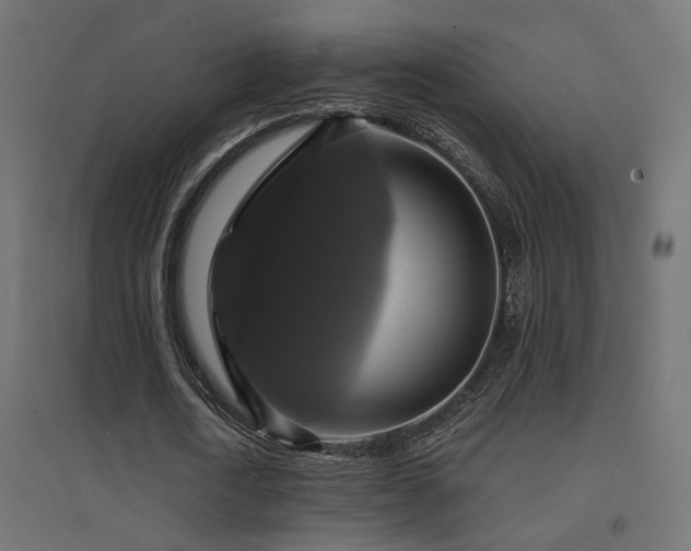 X0000094900722200711291231