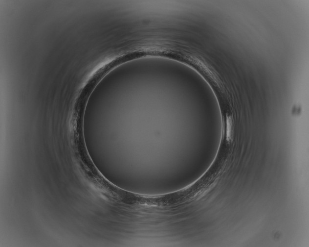 X0000094900723200711291231
