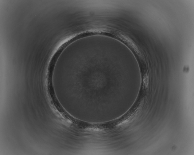 X0000094900724200711291231