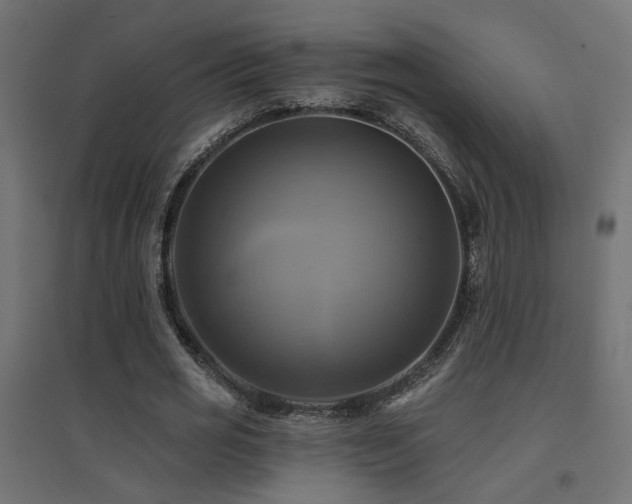 X0000094900725200711291231