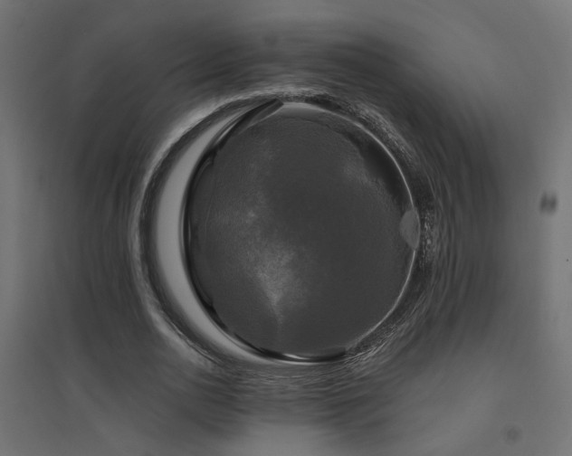X0000094900726200711291231