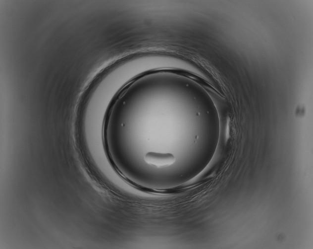 X0000094900728200711291232