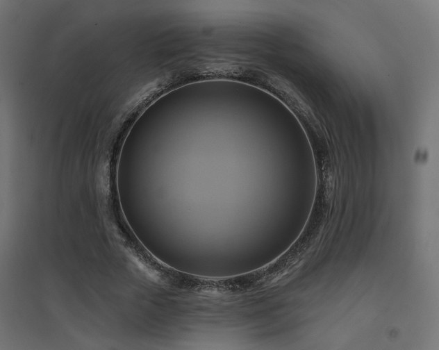 X0000094900729200711291232