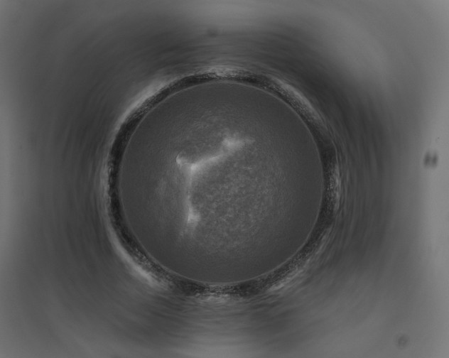 X0000094900730200711291232
