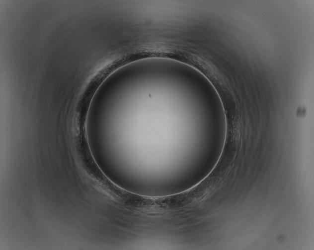 X0000094900731200711291232