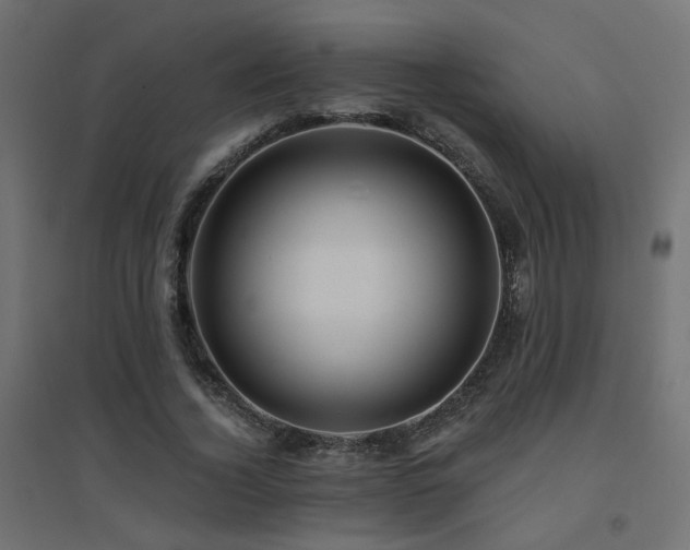 X0000094900732200711291232