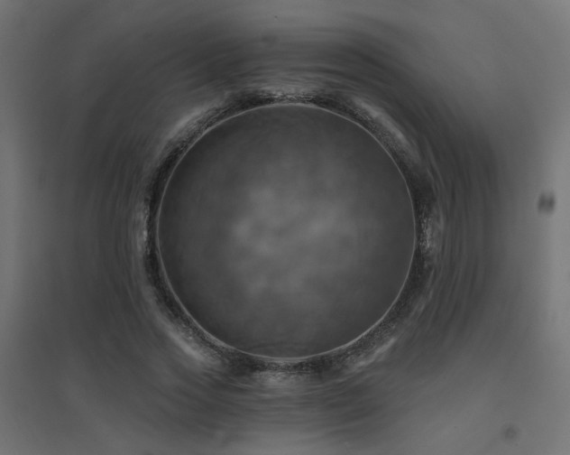 X0000094900733200711291232