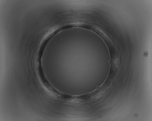 X0000094900734200711291232