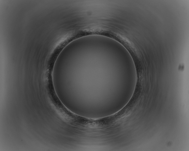 X0000094900735200711291232