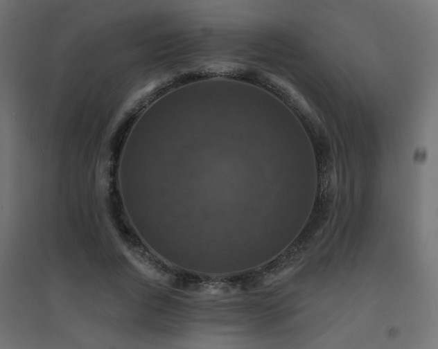 X0000094900736200711291232